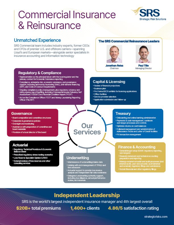 SRS Commercial Insurance/(Re)insurance Flyer